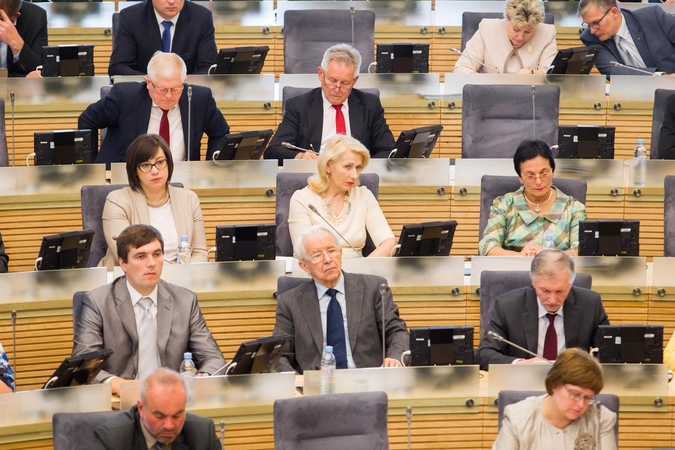 Ką tiksliai parlamente nuveikia politikai?