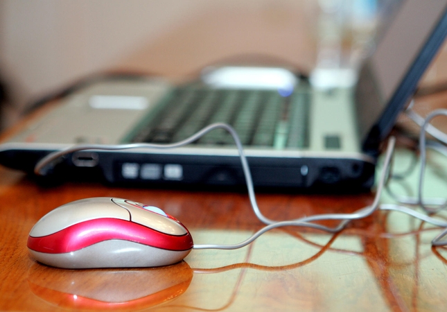 VSD: po išpuolių Paryžiuje internete suaktyvėjo grasintojai