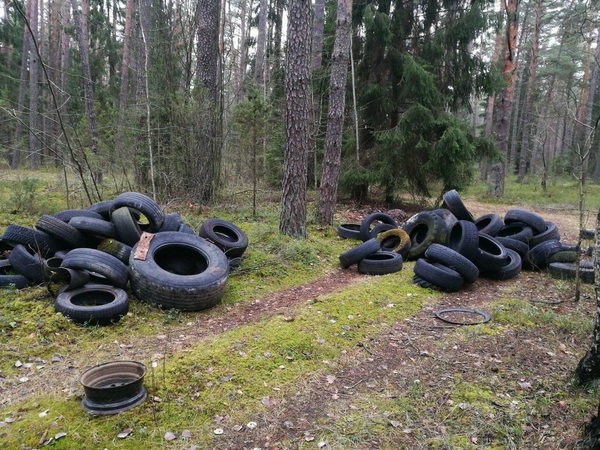 Vaizdas tikrai prastas: vairuotojai kalnus senų padangų išmeta miškuose