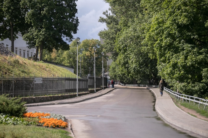 Suabejojo, ar K. Škirpos alėja pervadinta nepažeidžiant procedūrų