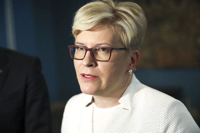 I. Šimonytė: suvaldant pandemijos krizę ekspertai turėtų būti labiau matomi