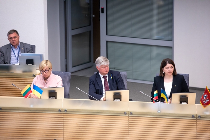 Sporto ministrė apie prezidento kritiką: nelengva atstatyti tai, kas buvo sugriauta