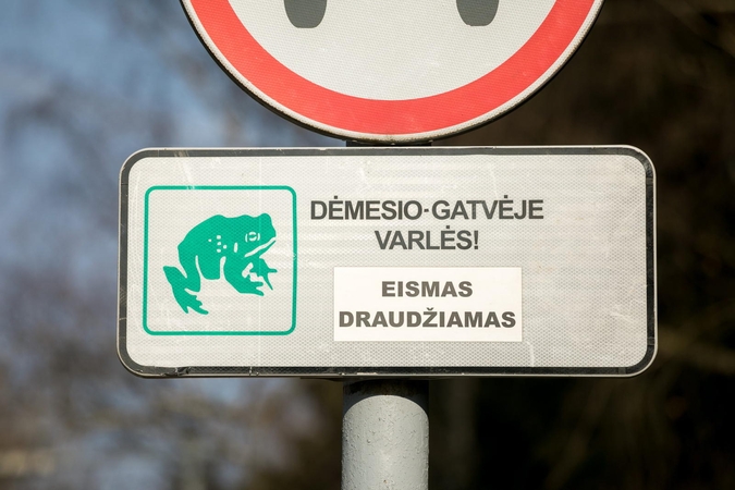 Sostinės parkuose – laikini eismo draudimai dėl varlių migracijos