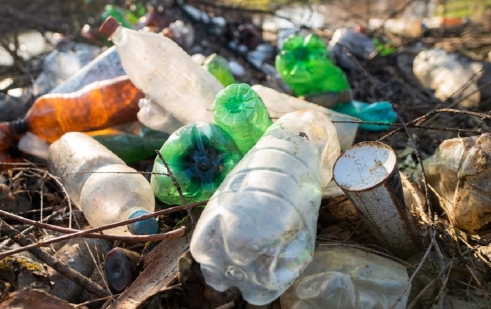 Už šiukšlinimą – į kalėjimą: piniginės baudos niekšų jau neatgraso