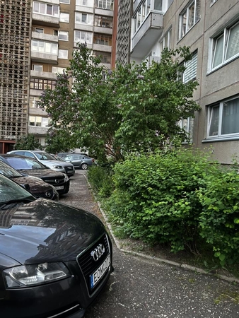 Nepatogu: Vingio g. 11 gyvenantys klaipėdiečiai neturi šaligatvio, čia jo vietą užima automobiliai.
