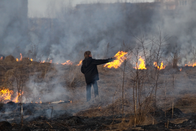 Belaukiant lietaus: per parą Lietuvoje išdegė 80 ha 