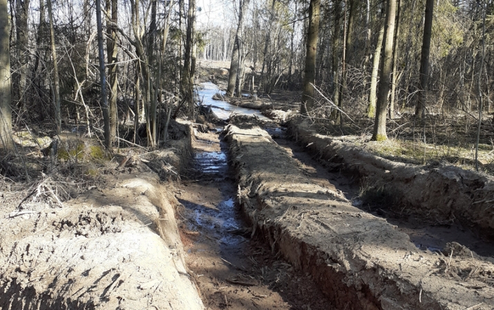 Telšių rajone sunaikinta 4,32 ha miško paklotės, žala – beveik 130 tūkst. eurų