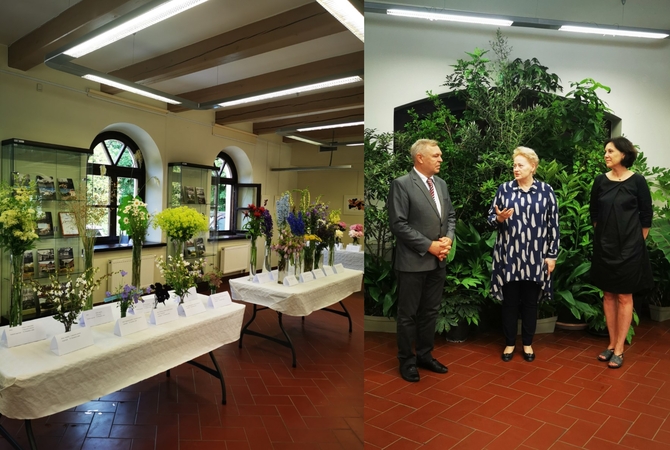 A. Skridaila, D. Grybauskaitė ir A. Dobkevičiūtė