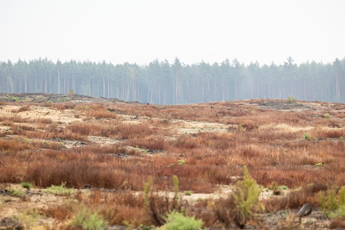 Viceministrė: naujam poligonui svarstoma keturiolika potencialių vietų