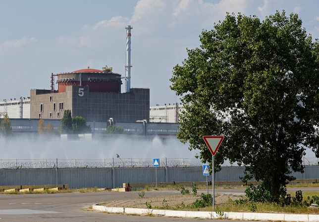 TATENA vadovas: padėtis Zaporižios AE itin nestabili
