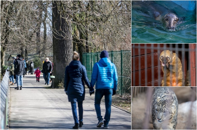 Zoologijos sodas apgulties išvengė, bet pirmieji lankytojai – jau nuo ankstaus ryto