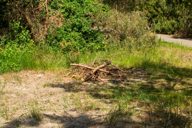 Užfiksuota: netoli Neįgaliųjų paplūdimio pastebėtas galbūt nelegalus laužas.