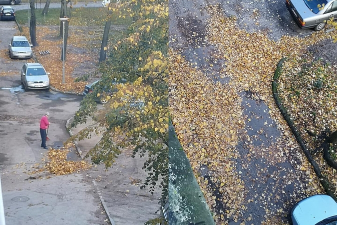 Vitės kvartale lapus šluoja senukai