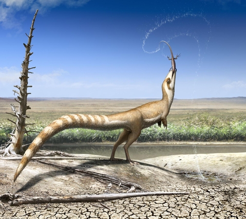 Sinosauropteryx 