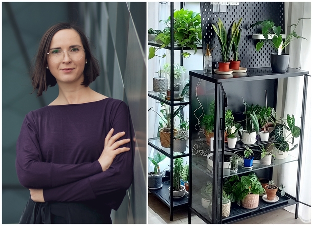 Aistra: kambariniais augalais besižavinti V. Žukauskė tikina, kad jie su kaupu grąžina energiją, reikalingą jų priežiūrai. 