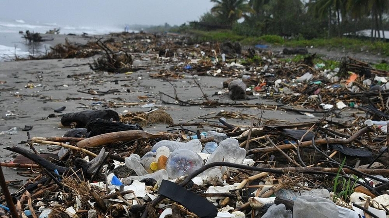 Mokslininkai teigia netyčia patobulinę plastiką ardantį fermentą
