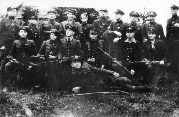 Paminklą Dainavos apygardos partizanams planuojama pastatyti rudenį
