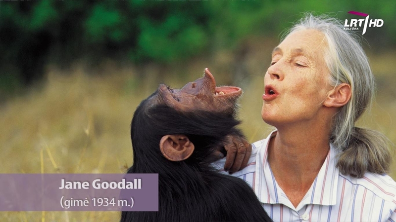 Jane Goodall