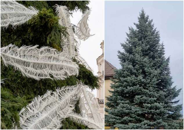 Didžiųjų Lietuvos miestų aikštėse – Kalėdų eglės nuo tūkstančio iki 160 tūkst. eurų