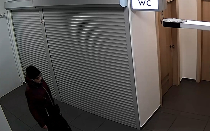 Iš prekybos centro tualeto dingo rankinė