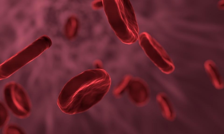 Po 20 metų pertraukos – naujos gydymo galimybės sergantiems hemofilija A