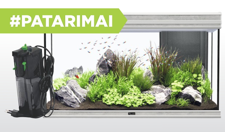 Viskas, ką reikia žinoti apie akvariumo filtrus