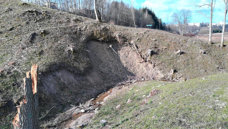 Nuostaba: šį pavasarį Kalniškės (Gargždų) piliakalniu pasigrožėti atvykę žmonės mato ir nuogriuvas.