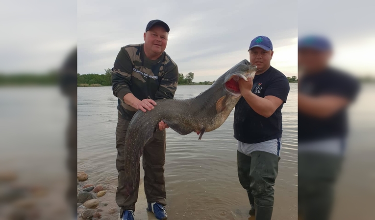 Klaipėdiečiai sugavo įspūdingo dydžio šamą