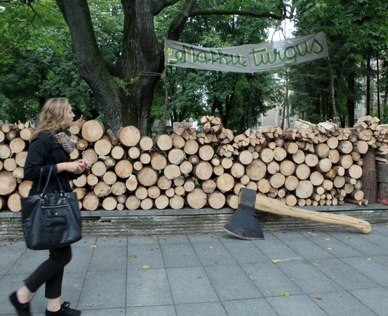 Dėl brangstančių malkų ir biokuro socialdemokratai kelia klausimą premjerui