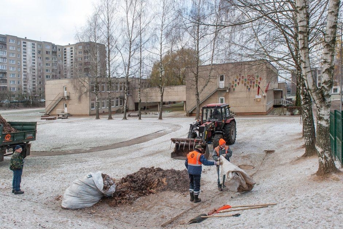 Netvarkos "Pelėdos" pradinėje mokykloje neapsikentę tėvai pernai parašė skundą Vilniaus savivaldybei