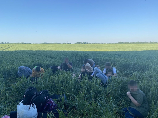 Ignalinos rajone sulaikyta 12 neteisėtai sieną kirtusių migrantų