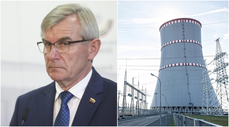 V. Pranckietis apie Astravo AE saugumą: negali būti jokių kompromisų