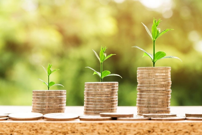 Biudžeto ir finansų komitetas – už NPD didinimą 100 eurų, keisis taikymo „lubos“