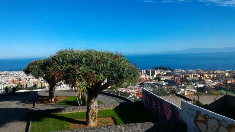 Turistai masiškai traukia į Kanarus: kodėl geidžiamiausia sala rudenį – Tenerifė?