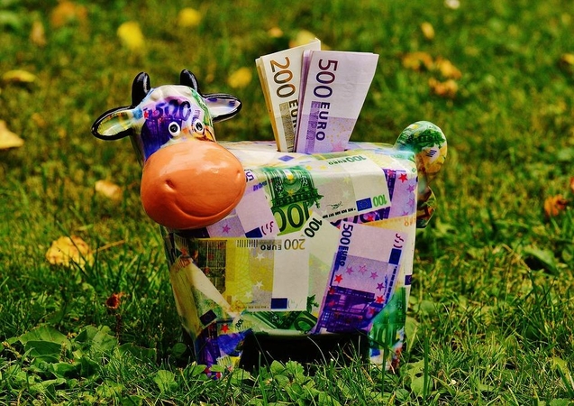 Vyriausybė vidaus rinkoje pasiskolino 28 mln. eurų