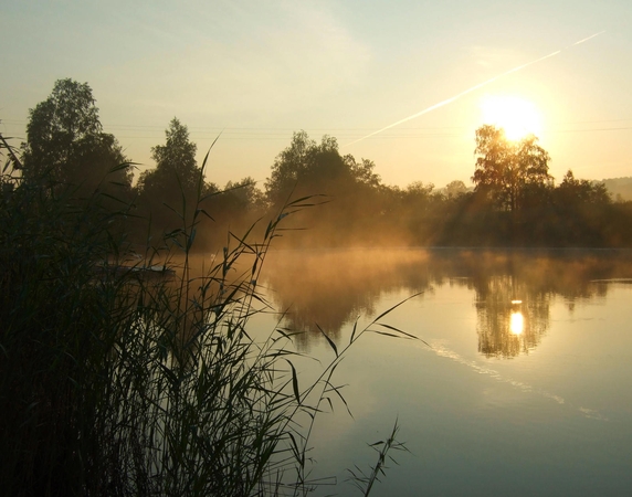 Ežerų dugne – vertinga žaliava verslui