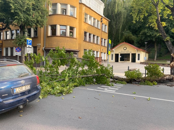 Ankstų rytą V. Putvinskio gatvėje vairuotojus pasitiko netikėta kliūtis