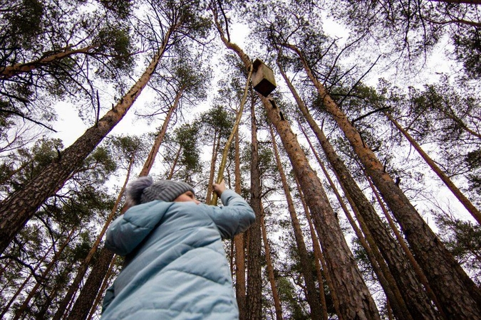 Aplinkos komitetas neapsisprendė dėl urėdijų reformos