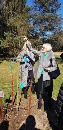 Botanikos sodą papuošė supratimo medis