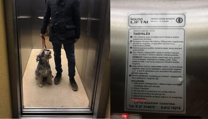 Stebisi situacija daugiabučiuose: šeimininkas liftu, šuo – tik laiptais?