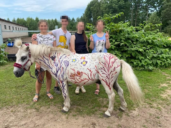 Pramoga vaikų stovykloje sukėlė tikrą audrą: siaubas ir nužmogėjimas! 
