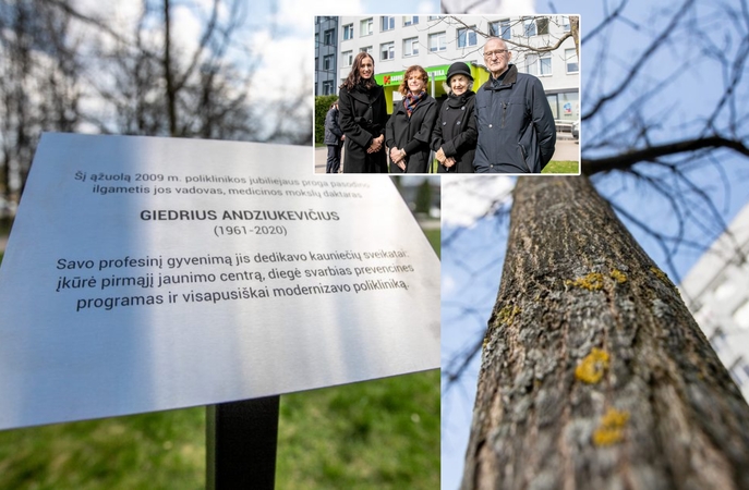 Pagerbtas buvęs Dainavos poliklinikos vadovas G. Andziukevičius: apie darbus primins ąžuoliukas