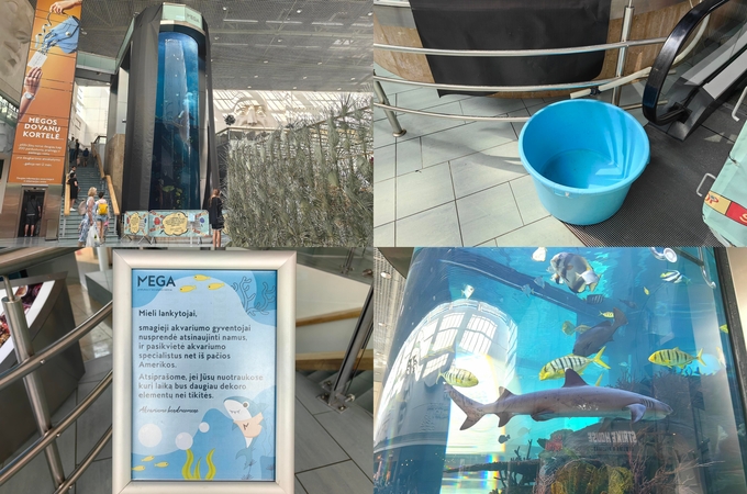Kas vyksta su „Megos“ akvariumu?