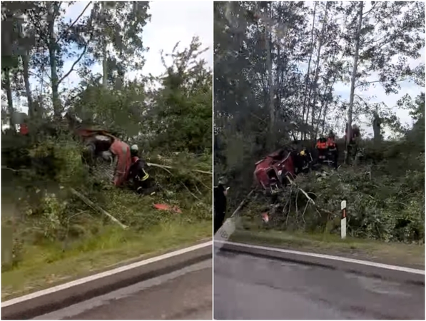Prienų rajone automobilis rėžėsi į medžius, žuvo vairuotojas: avarijos aplinkybės – kraupios