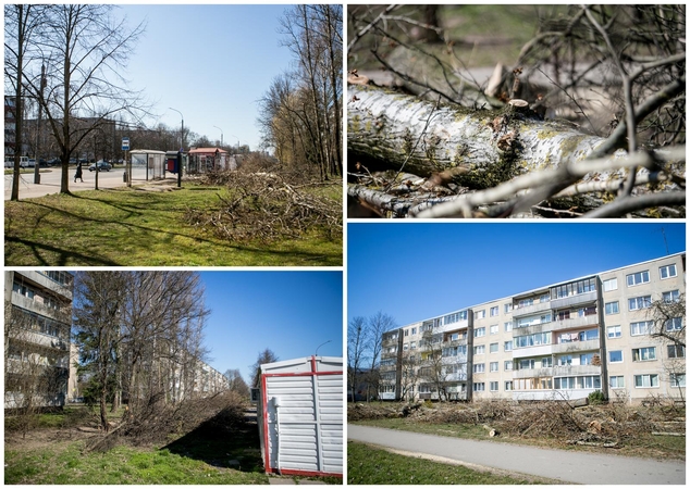 Ištiko šokas: V. Krėvės prospekte iškirto visą eilę medžių