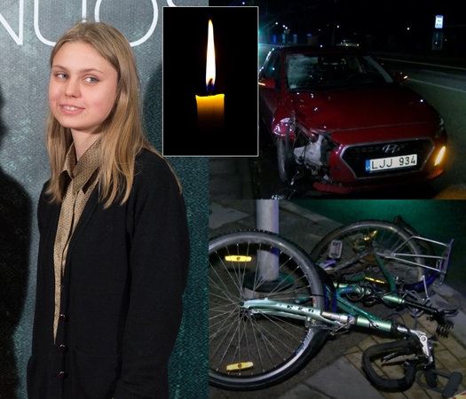Naujos detalės: Š. Barto dukrą pražudęs įtariamasis – žinomo politiko sūnus