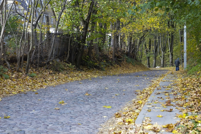Kelininkai: rytiniuose šalies rajonuose yra drėgnų kelio ruožų