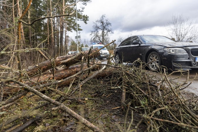 Ugniagesiai vos spėjo suktis: vėjas vertė medžius ant gatvių, automobilių