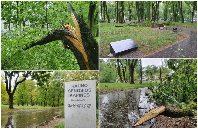 Vėjas gerokai aptalžė Ramybės parką: lūžo daugybė medžių
