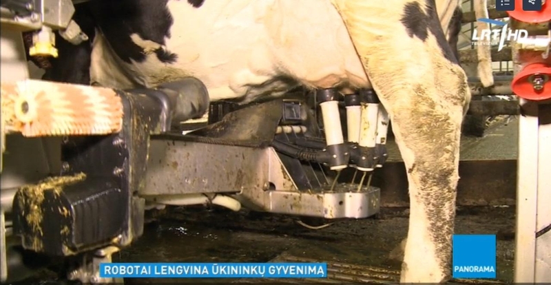 Robotai lengvina ir Lietuvos ūkininkų gyvenimą 
